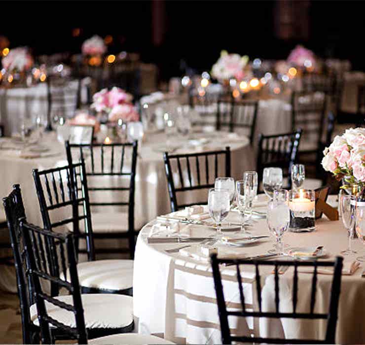 Düğün & Davet & Organizasyon