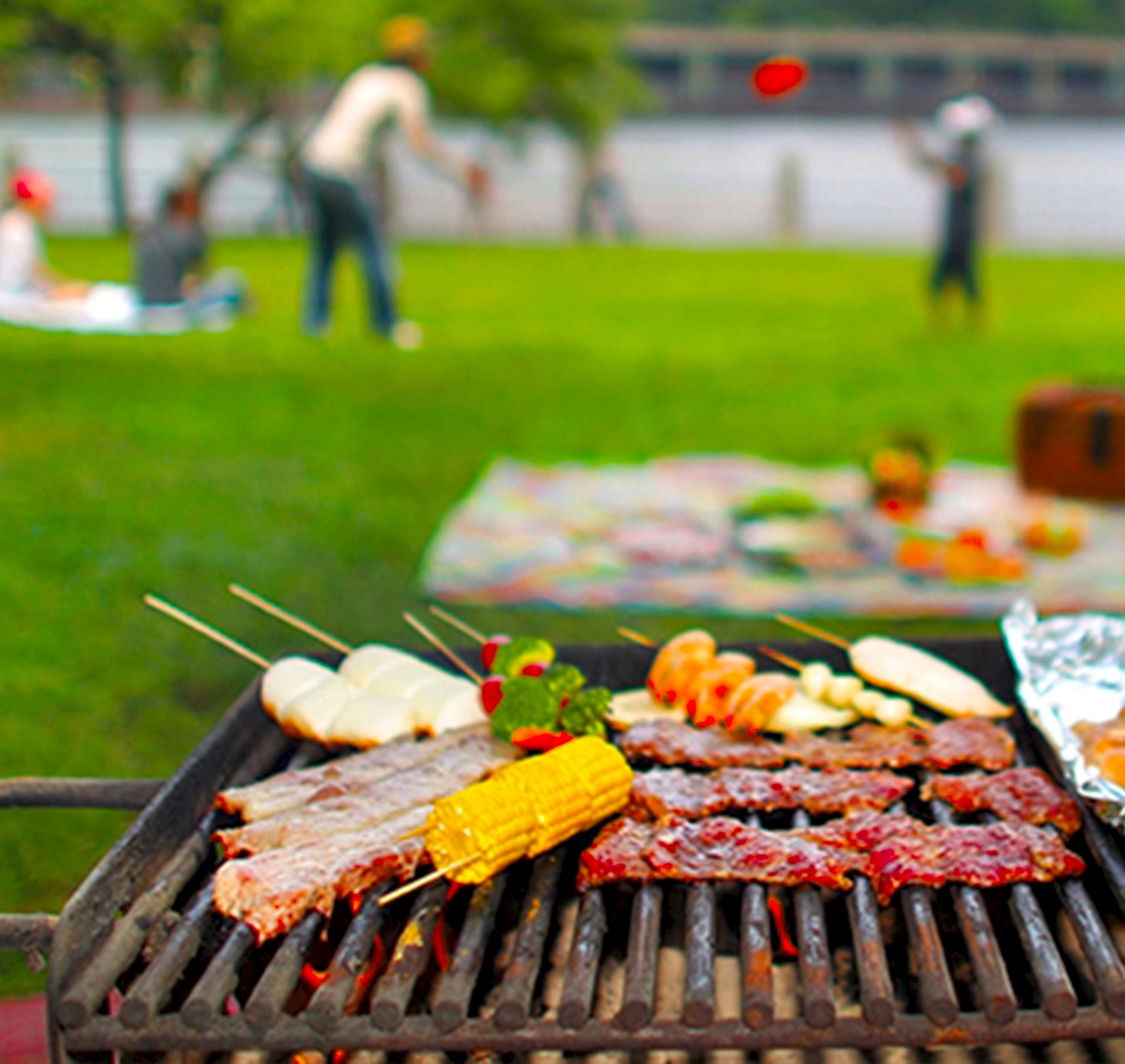 PİKNİK ETKİNLİKLERİ / BAHÇE PARTİLERİ / BARBEKÜ HİZMETLERİ